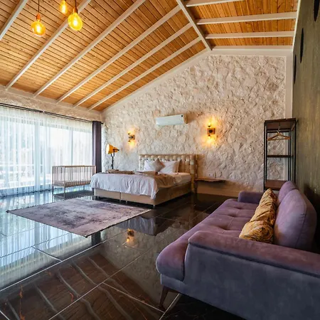 别墅 Eco Village